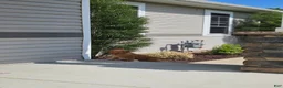 Golden Retriever dogs for sale: Duke - Ad 6