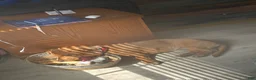 Dachshund dogs for stud: Copper and who? - Ad 5