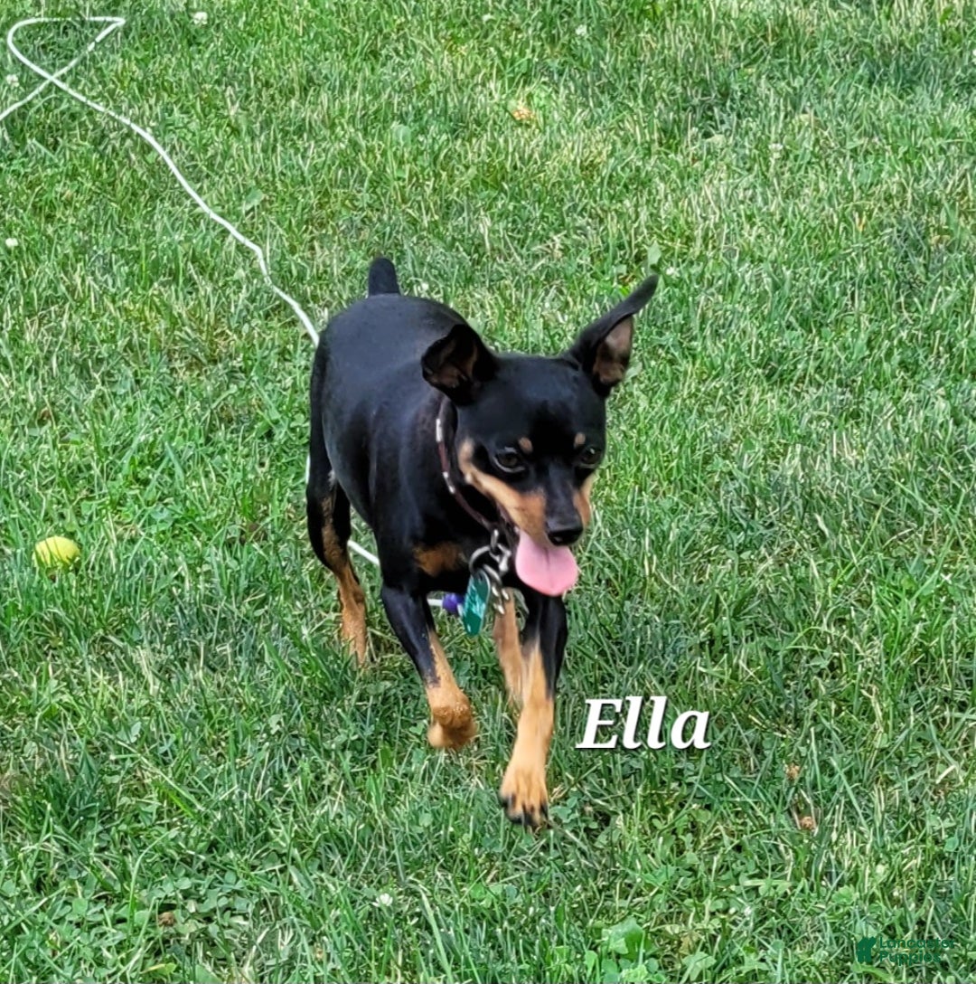 Gallery Image {{count}}