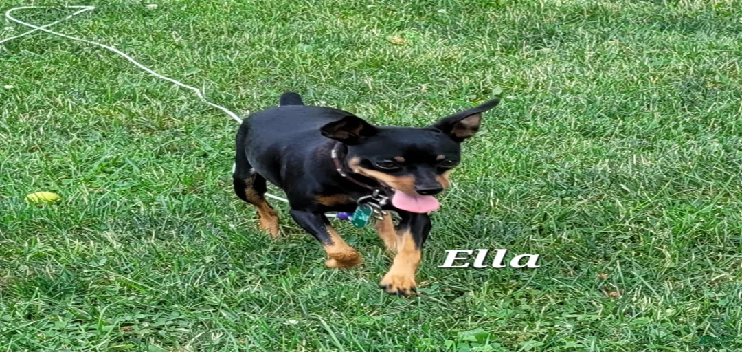 Gallery Image {{count}}