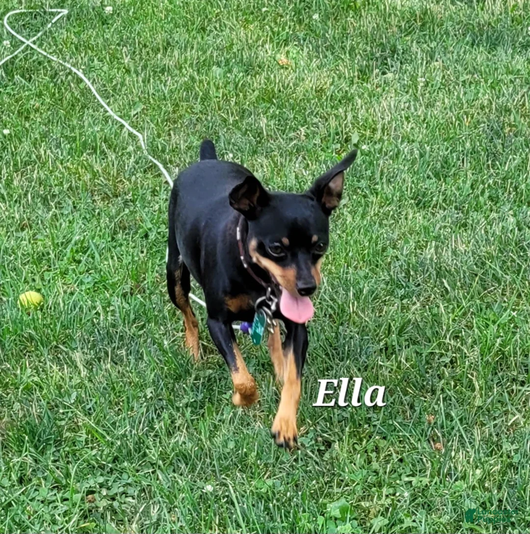 Gallery Image {{count}}