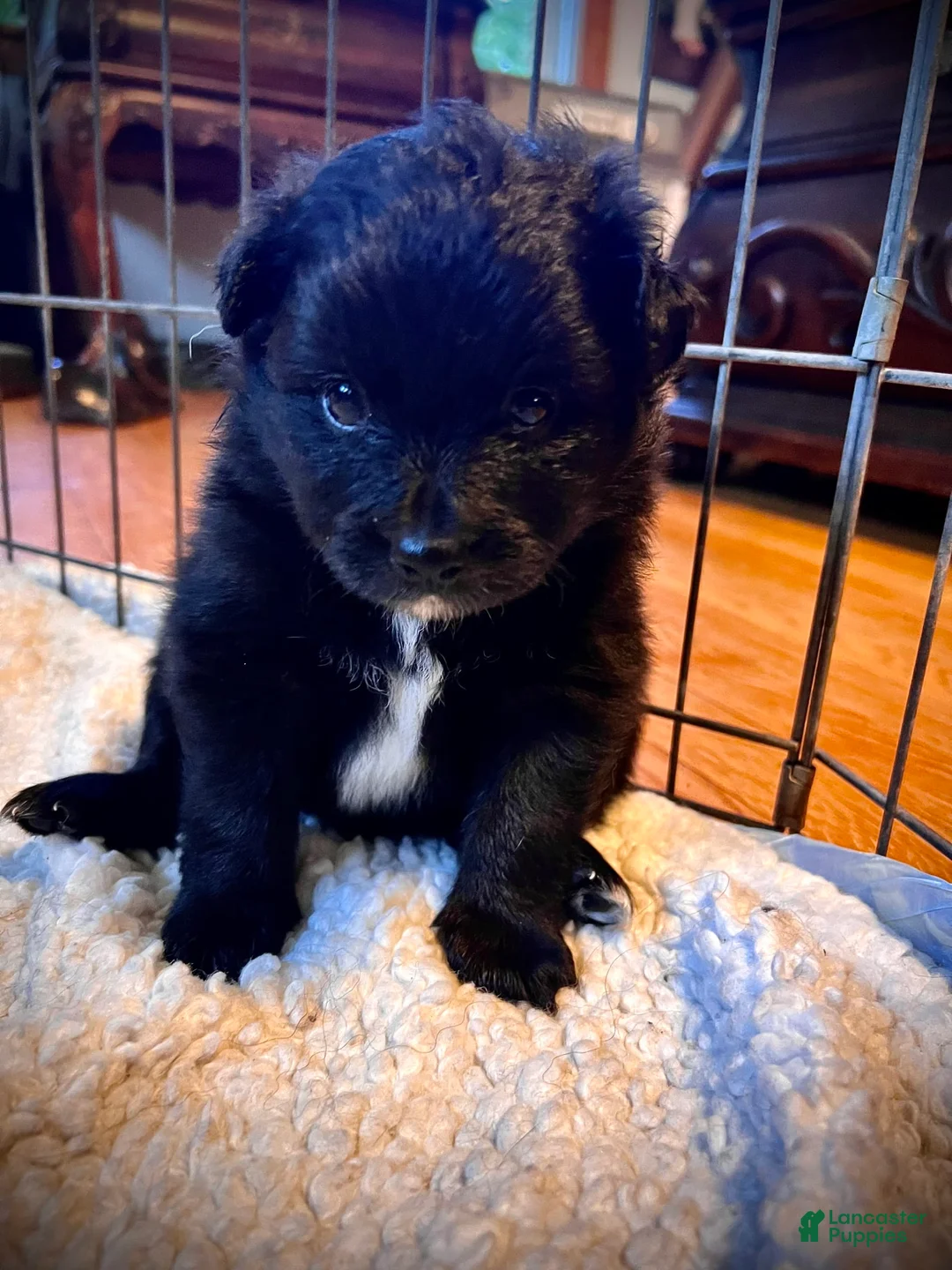 Gallery Image {{count}}