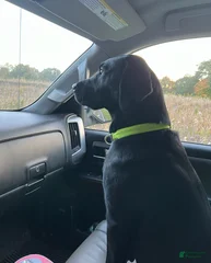Riley