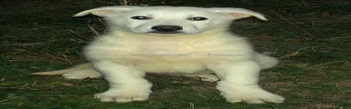 Blanco