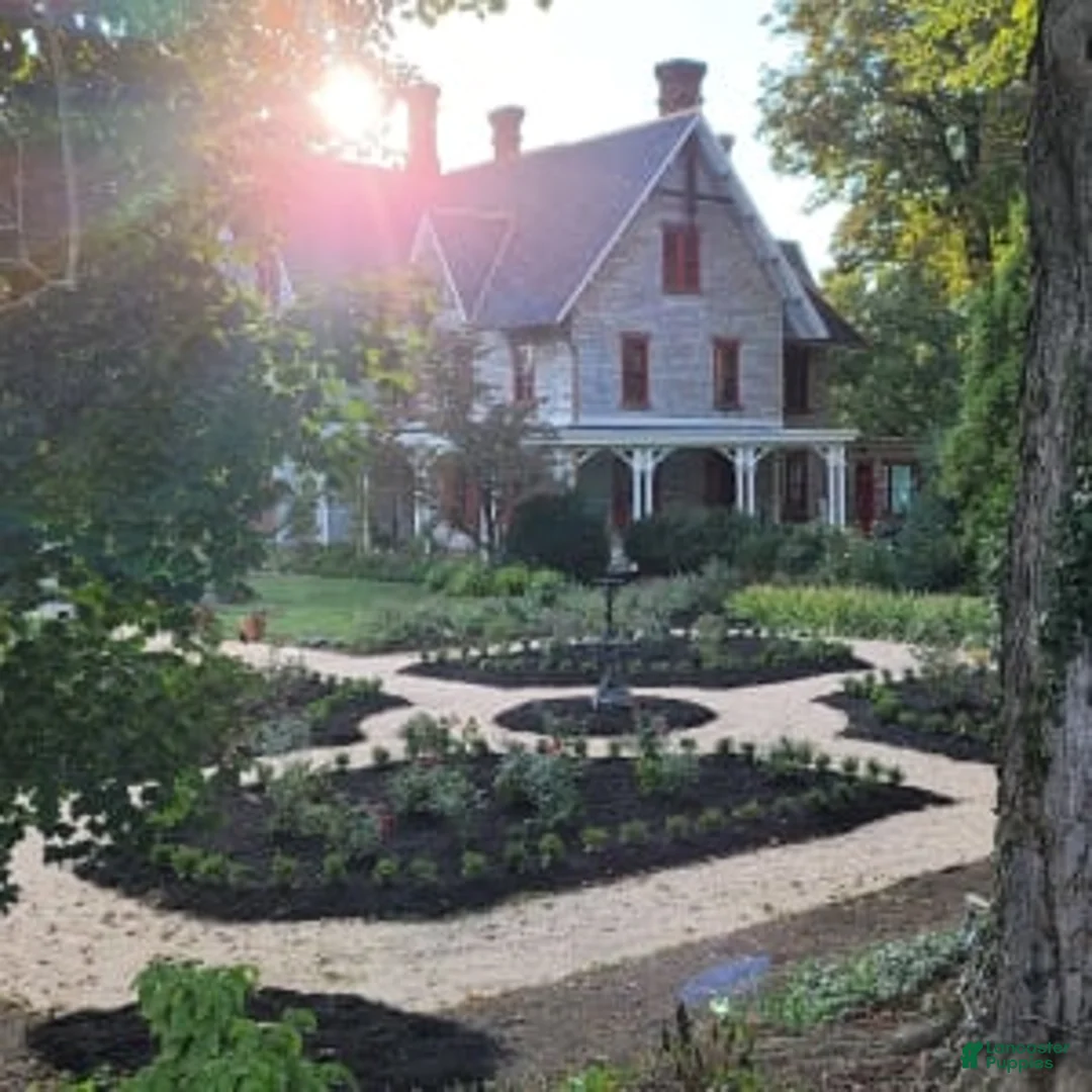 Gallery Image {{count}}