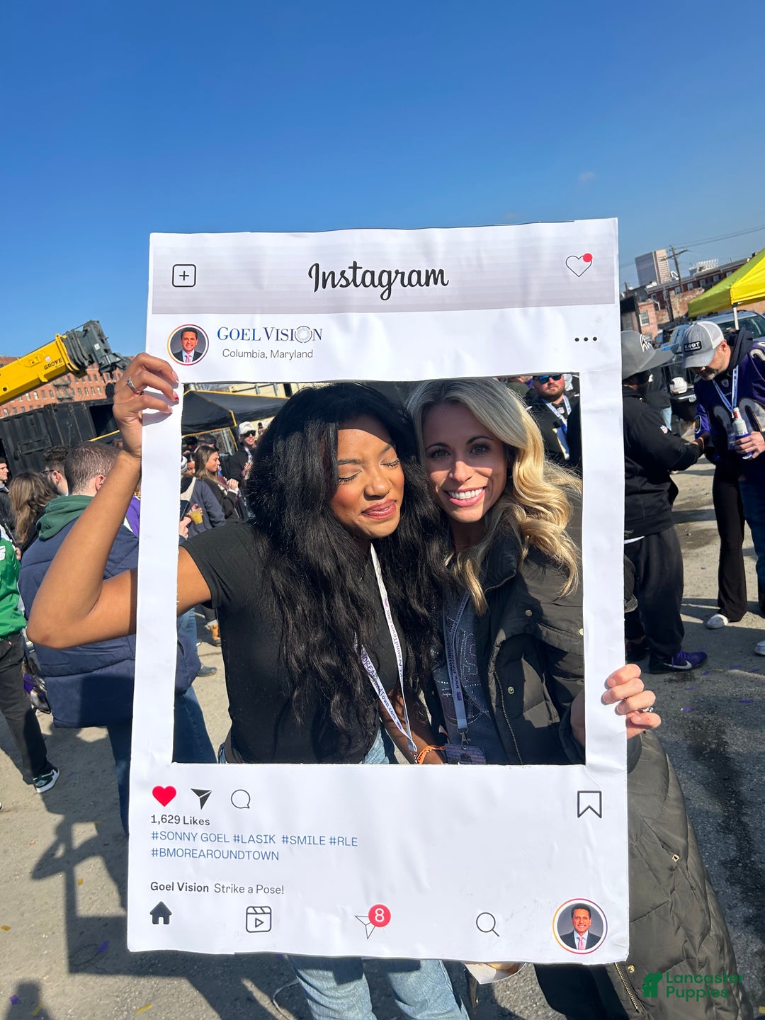 Shih Tzu dogs for sale: Lucy - Ad 13