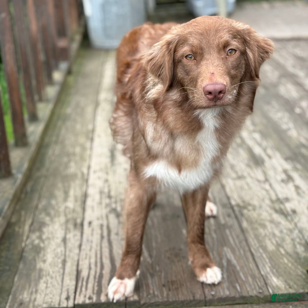 Gallery Image {{count}}