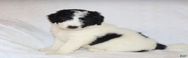 Rita