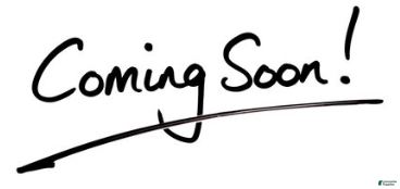 Yorkshire Terrier dogs Yorkshire Terrier Puppy 3 - Ad 4