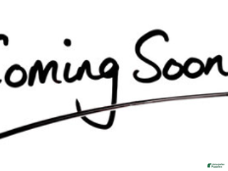 Yorkshire Terrier dogs Yorkshire Terrier Puppy 3 - Ad 4