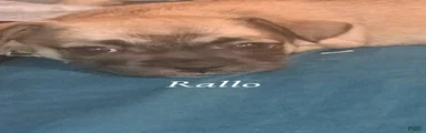 Rallo