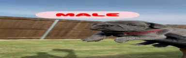 Boy 2