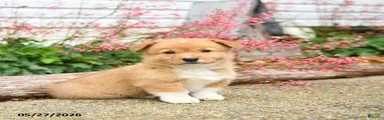 Paul