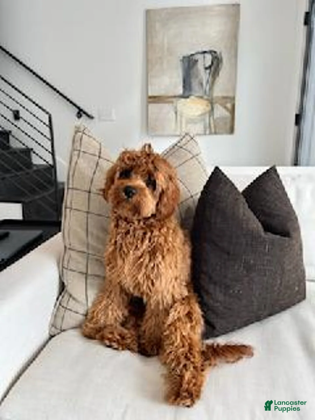 Gallery Image {{count}}