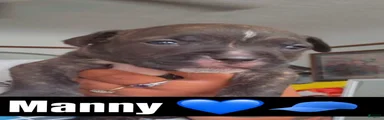 Manny