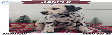 Jasper