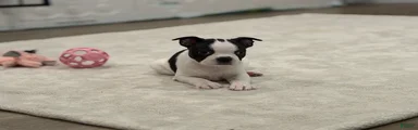 Blanca 