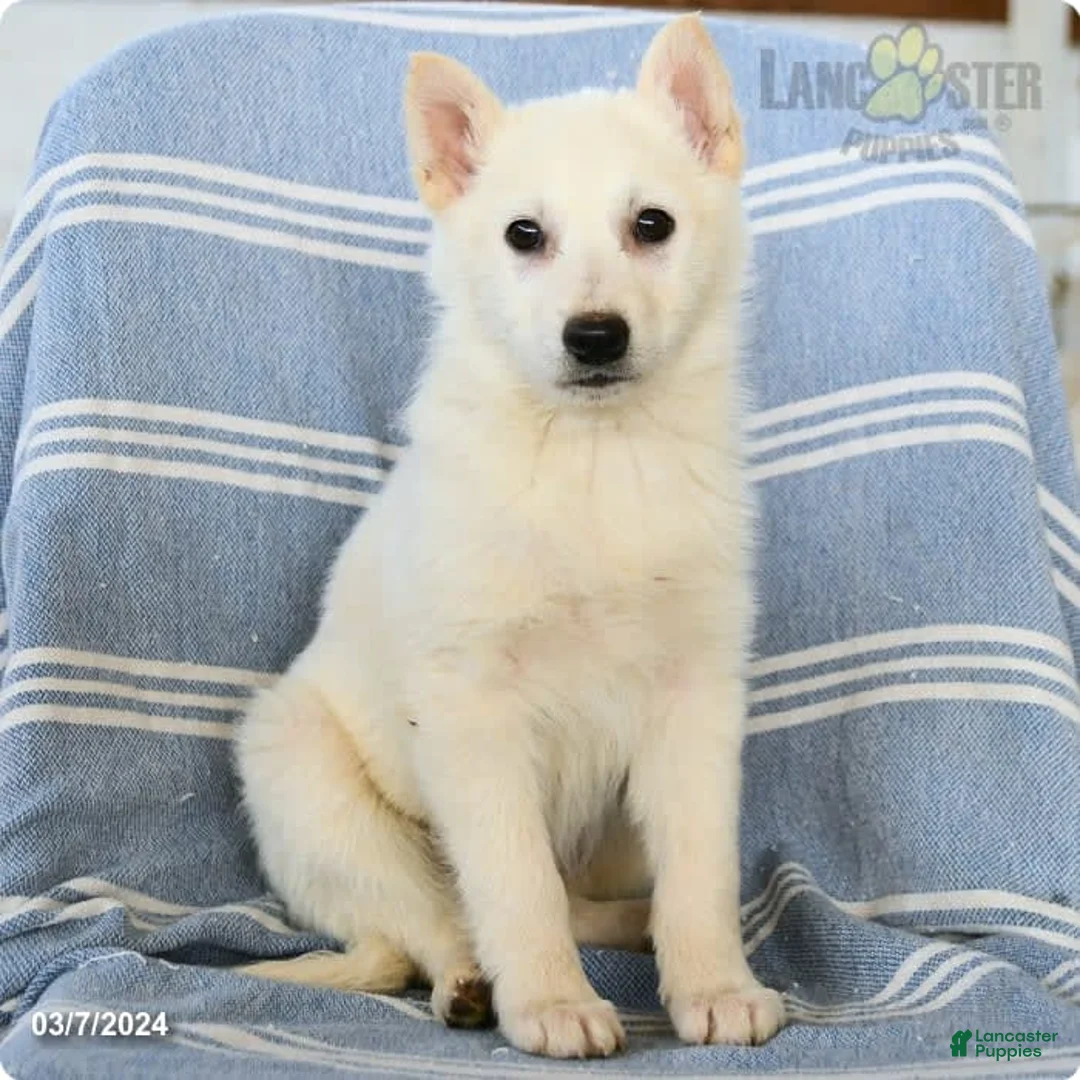 Gallery Image {{count}}