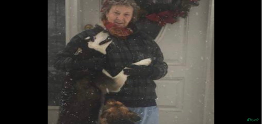 Gallery Image {{count}}