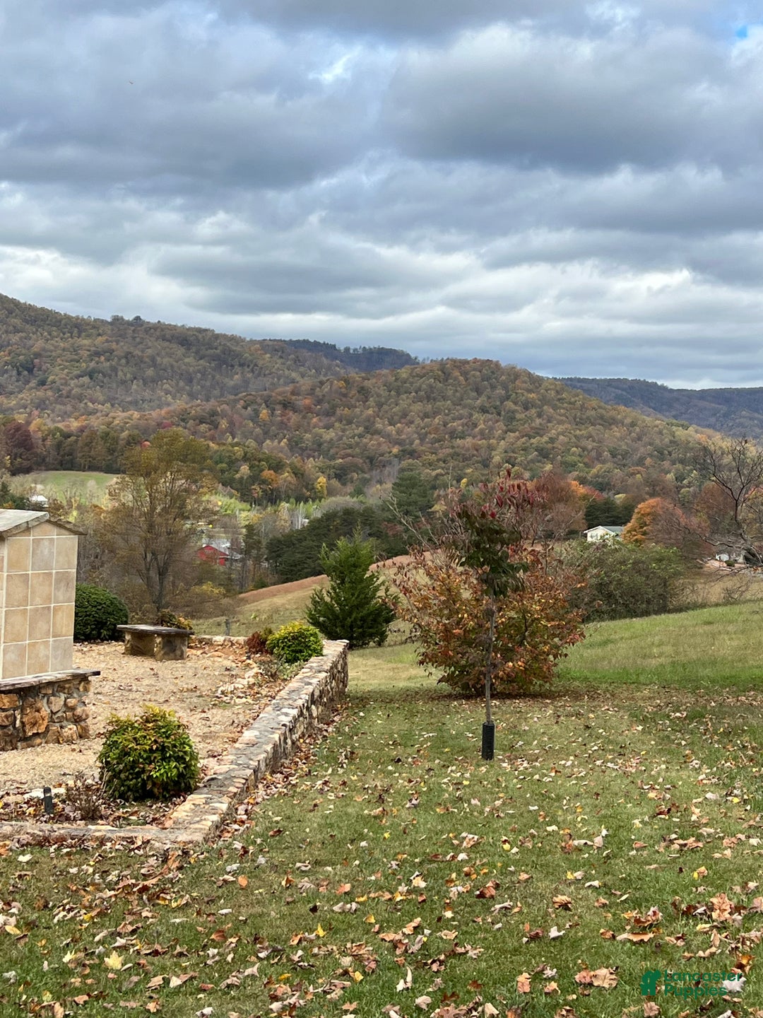 Gallery Image {{count}}