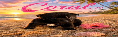 Coral