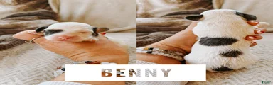 Benny