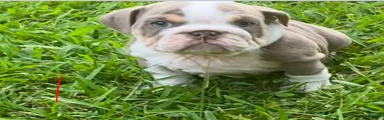 Maddy