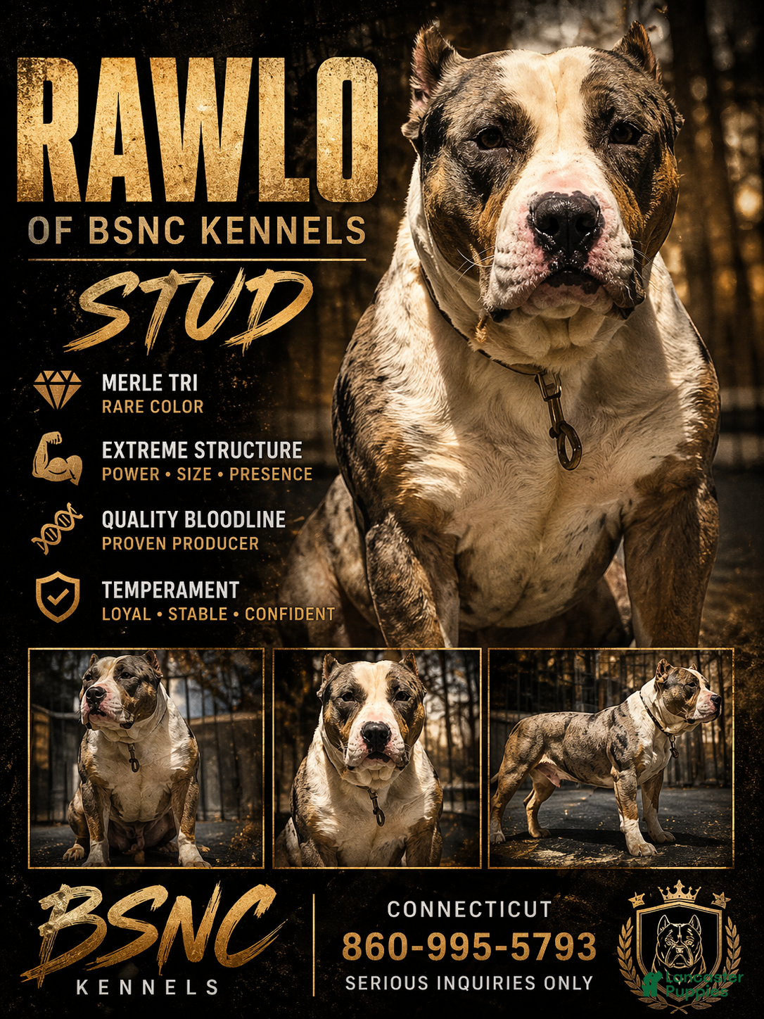 Rawlo