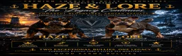 American Bully dogs for sale: Leviathan  - Ad 22