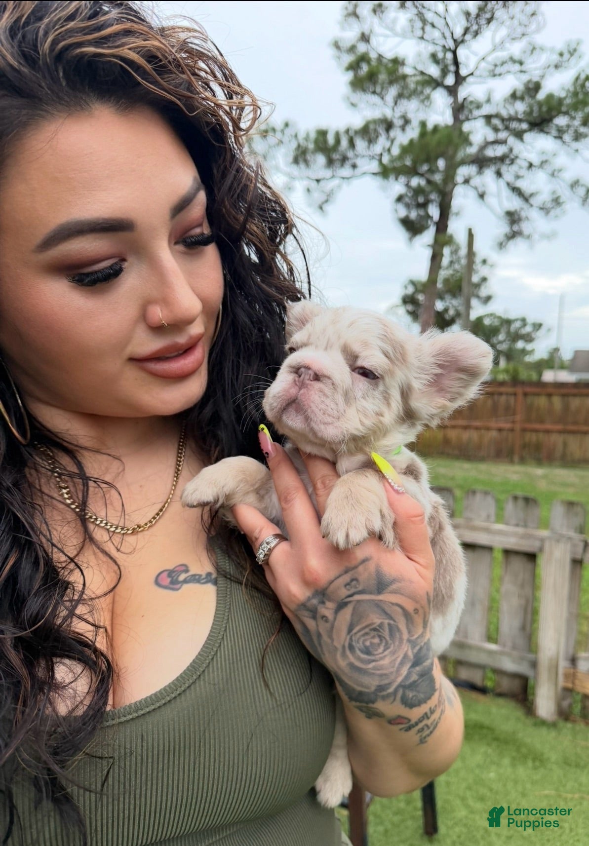 French Bulldog dogs That Dude - Ad 2