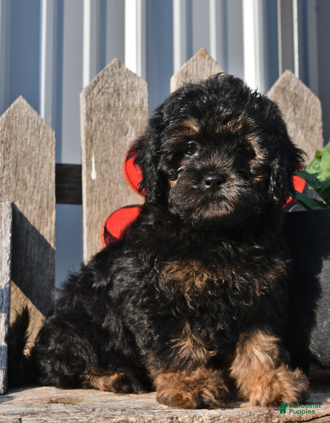 Gallery Image {{count}}