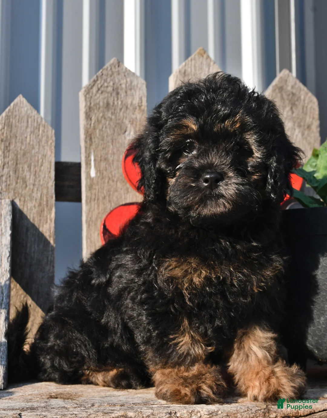 Gallery Image {{count}}