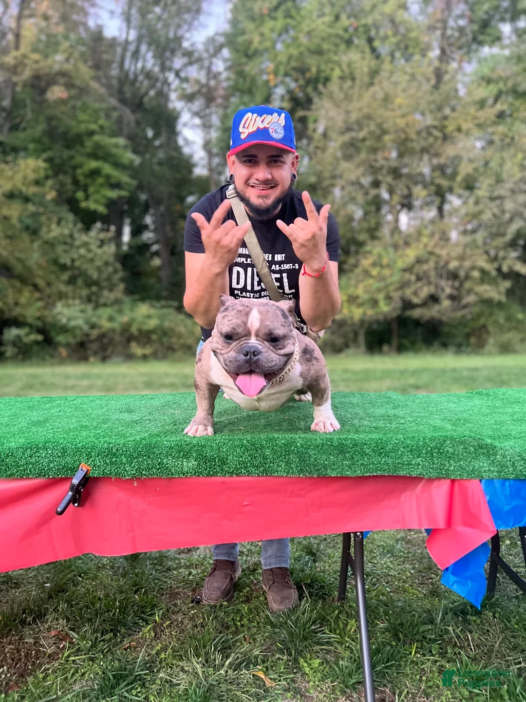 Gallery Image {{count}}