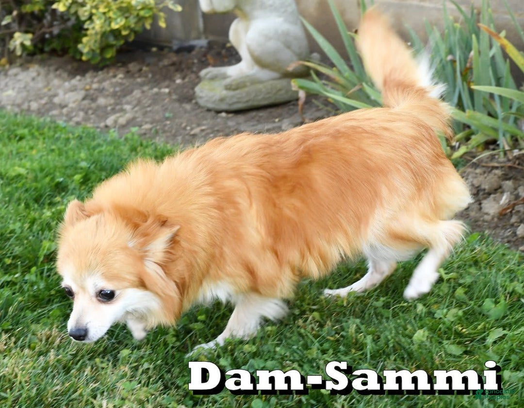 Gallery Image {{count}}