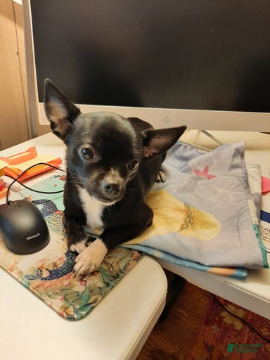 Gallery Image {{count}}