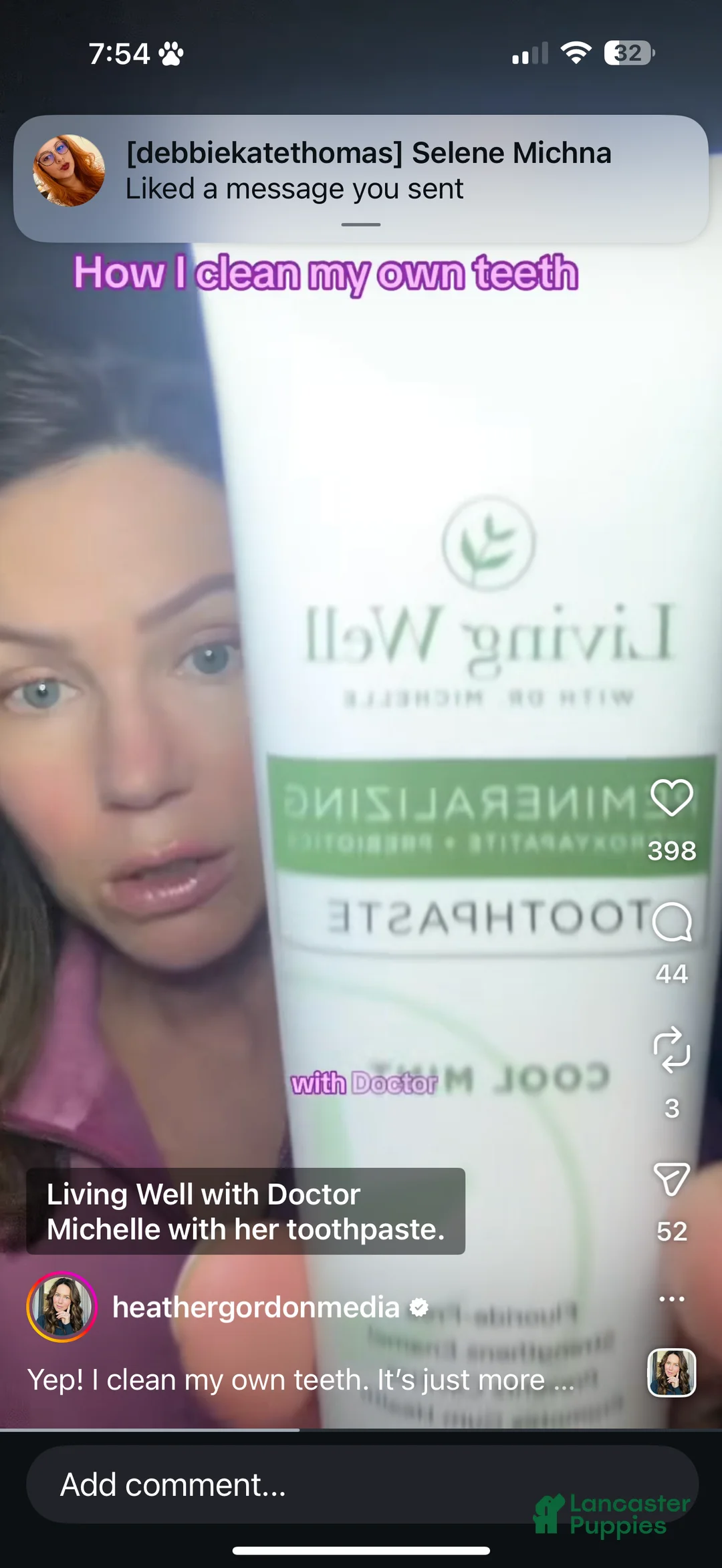 Cavapoo dogs for sale: Cavapoo Puppy 1 - Ad 6