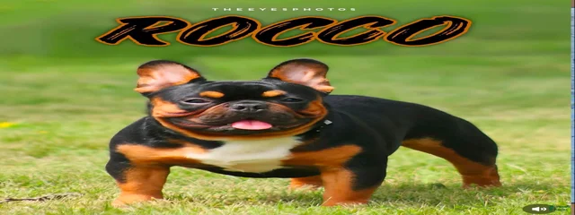 Rocco