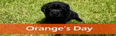 Orange - AKC English Lab
