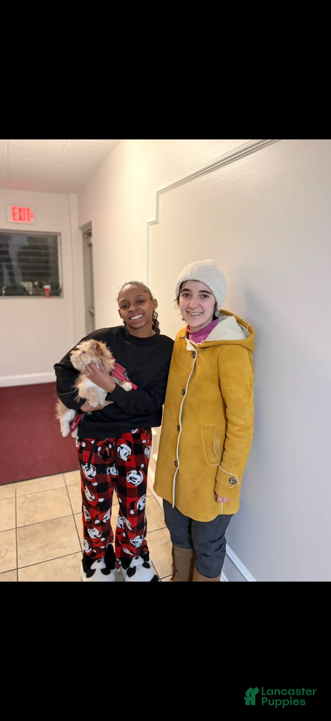 Gallery Image {{count}}