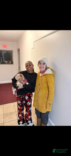 Gallery Image {{count}}