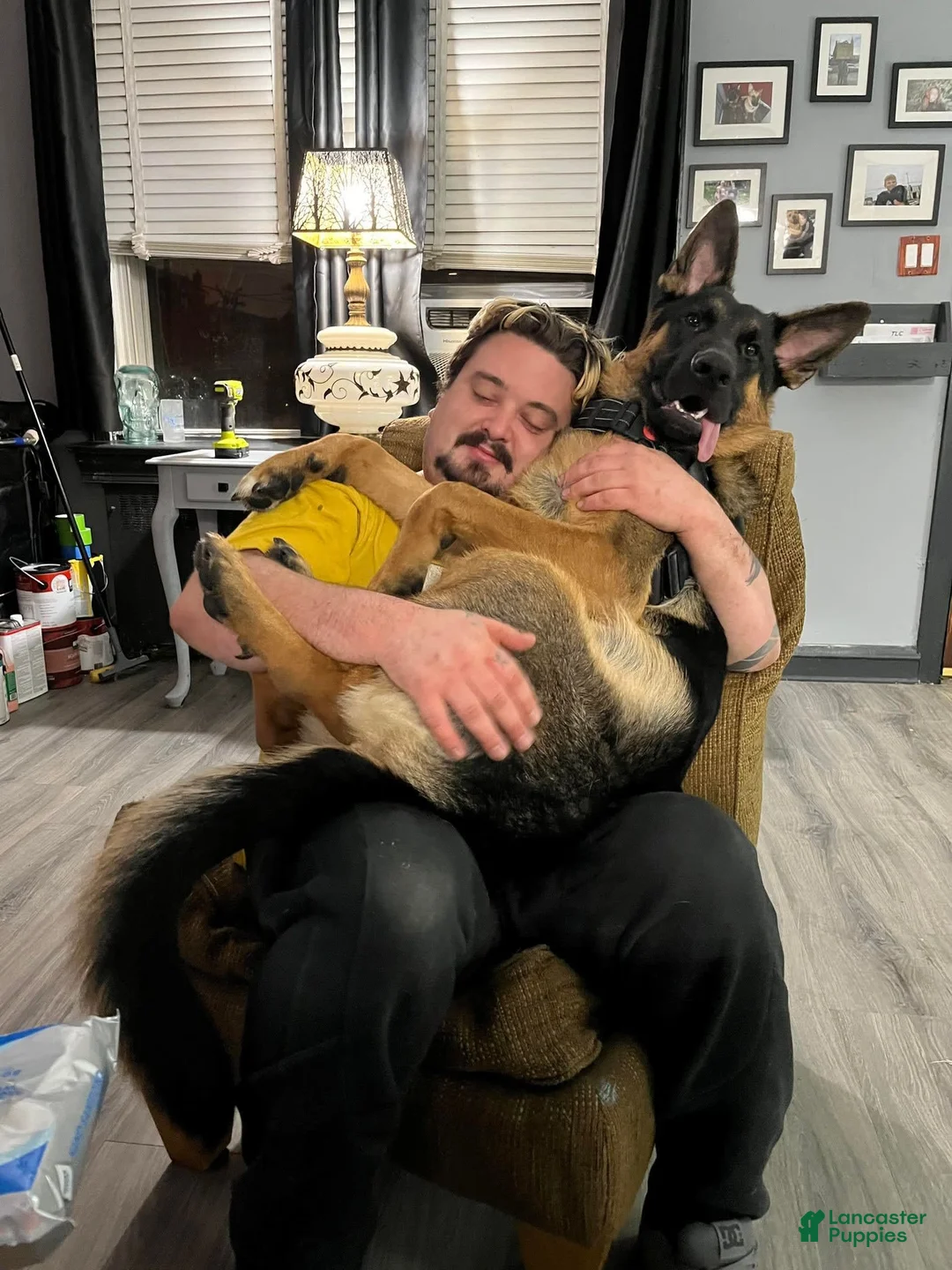 Gallery Image {{count}}