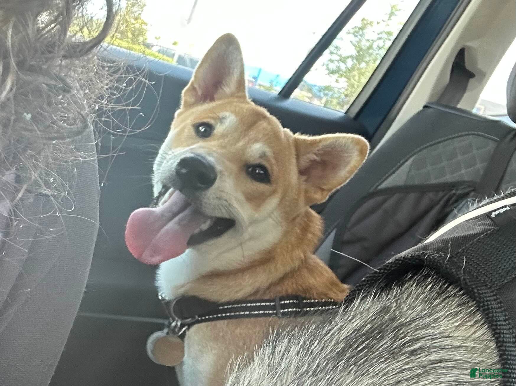 Keiko
