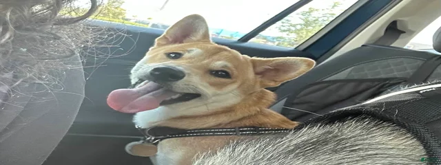 Keiko