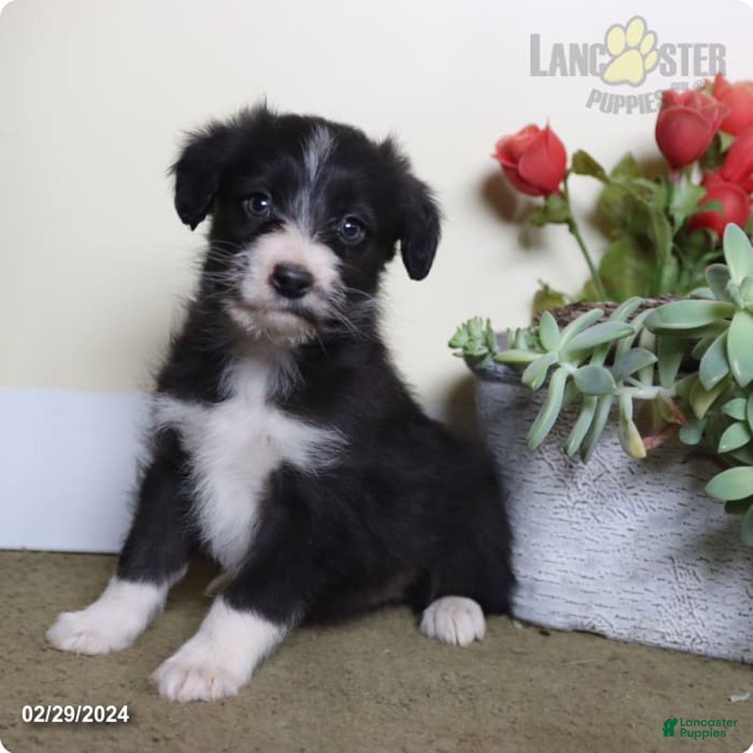 Gallery Image {{count}}