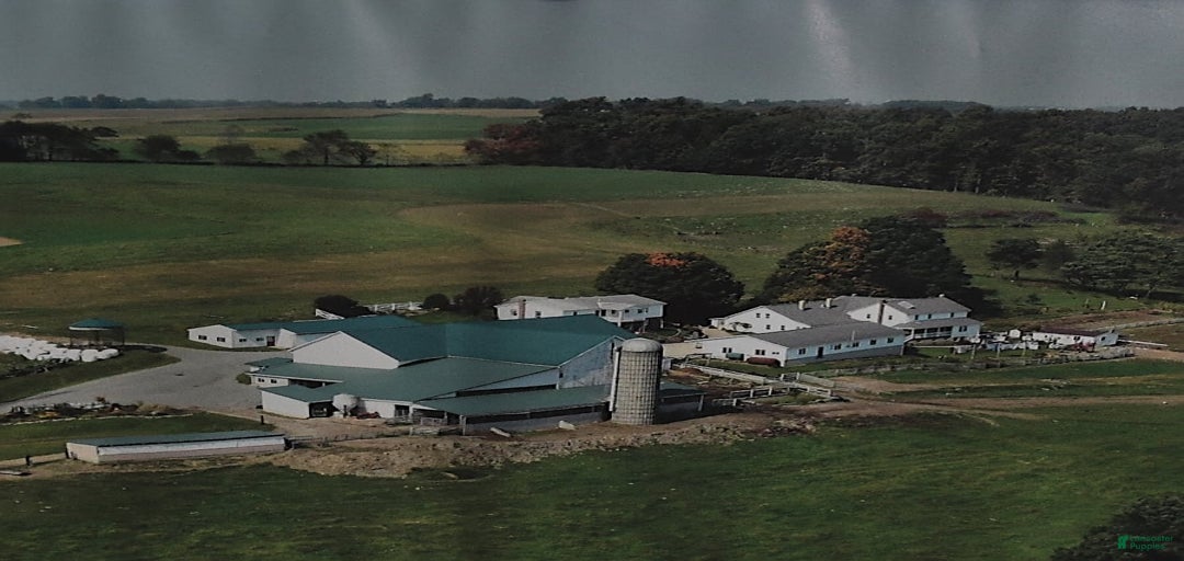 Gallery Image {{count}}