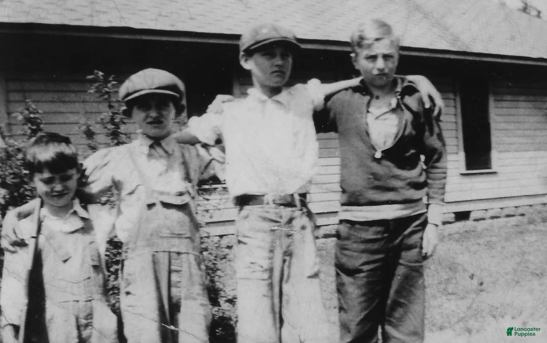 Gallery Image {{count}}