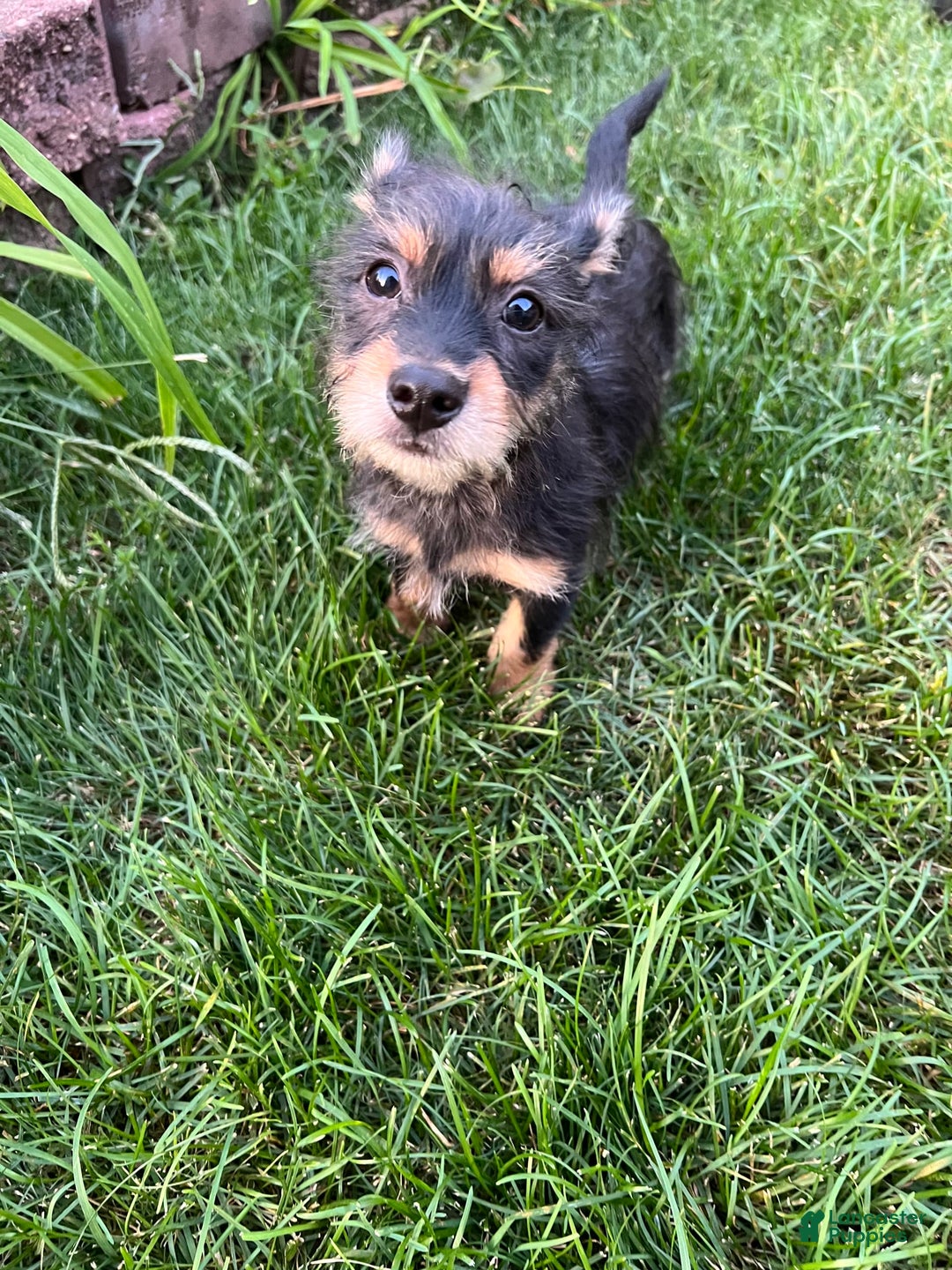 Gallery Image {{count}}