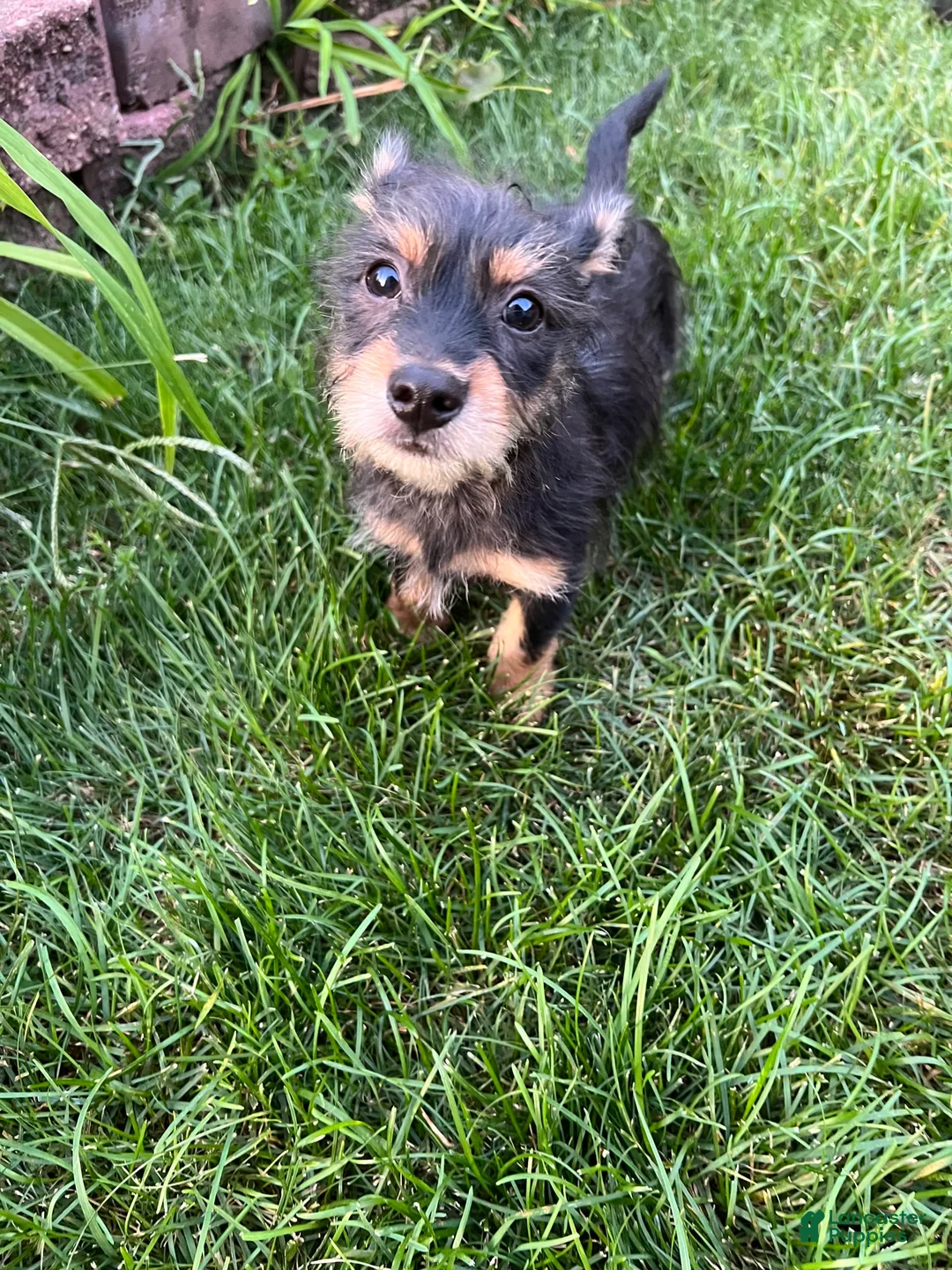 Gallery Image {{count}}