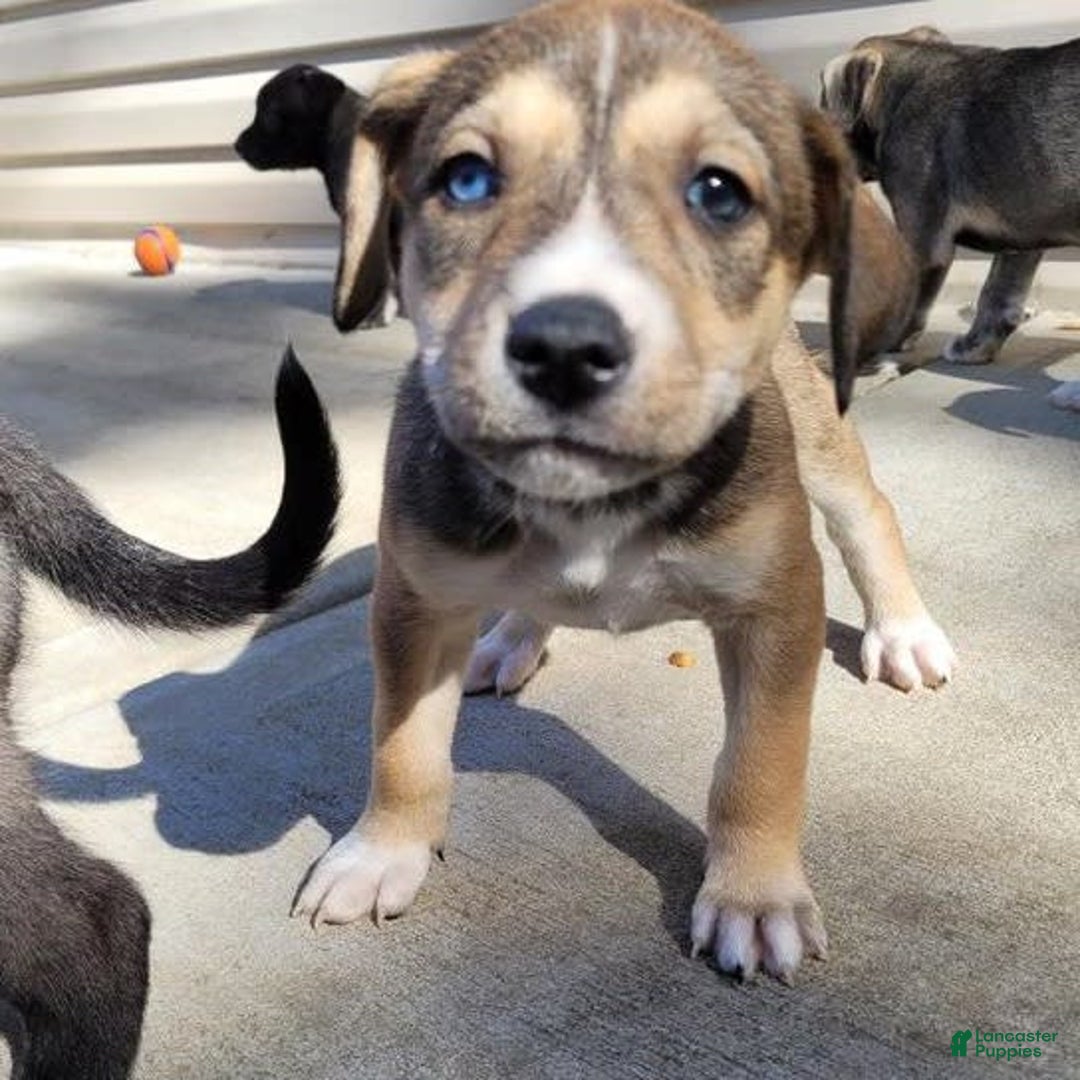 Gallery Image {{count}}