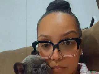 French Bulldog dogs Prince - Ad 1